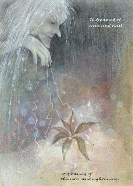Hail and Rain