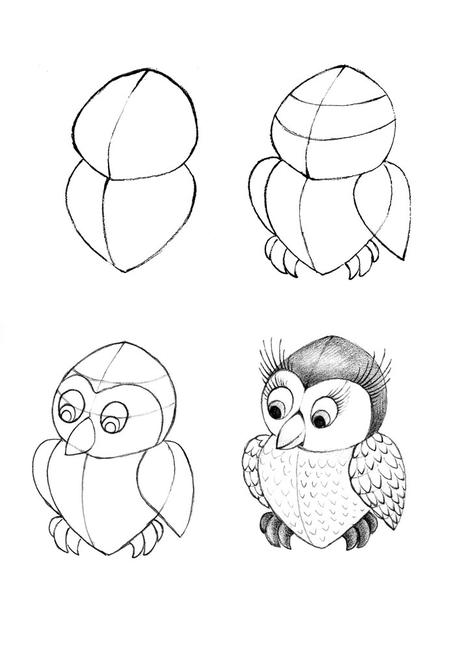 Draw An Owl
