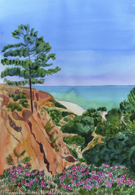 Pine trees, Algarve