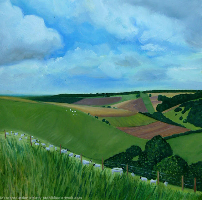 Summer Fields on the South Downs