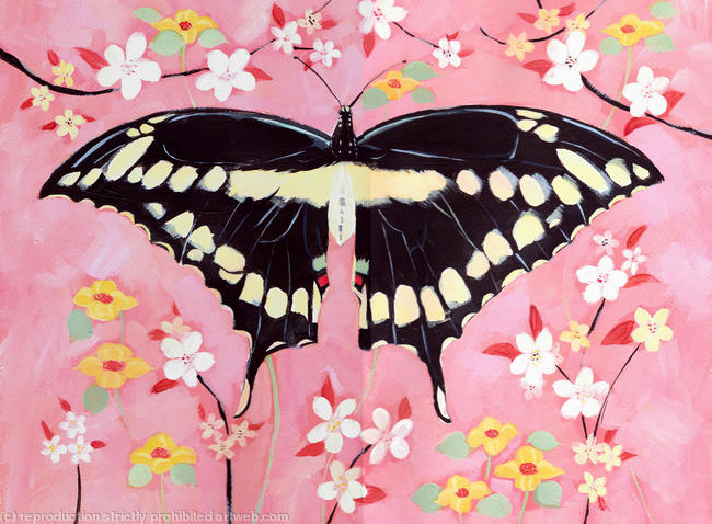 Oriental Butterfly