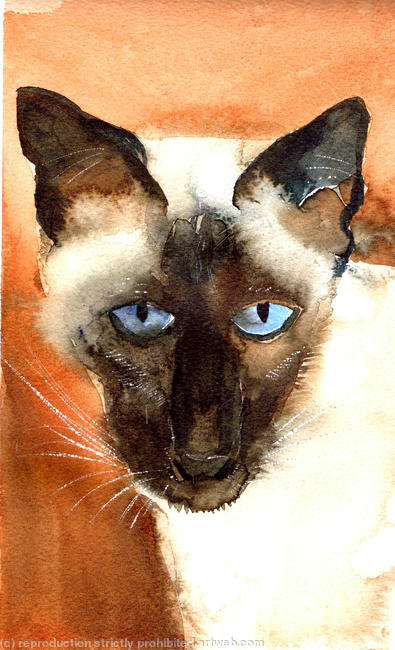 Siamese