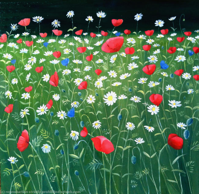 Poppies and daisies in St James Park