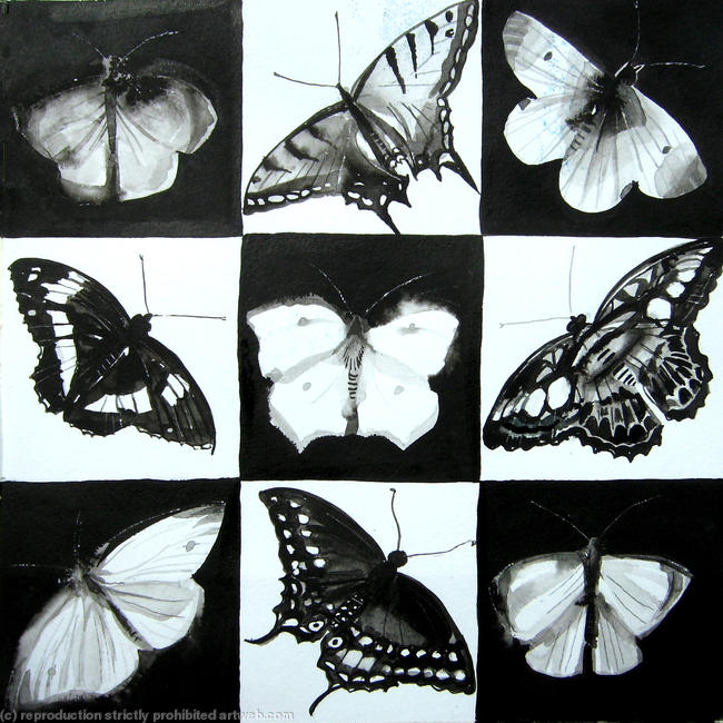 Butterflies in squares