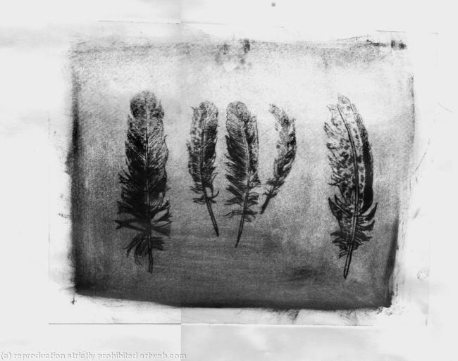 Feathers