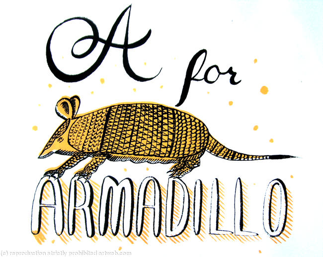 A for armadillo