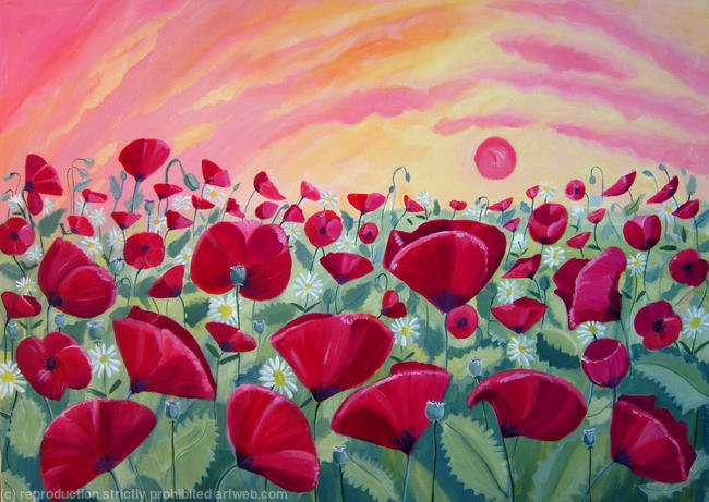 Red Poppies at Sunset