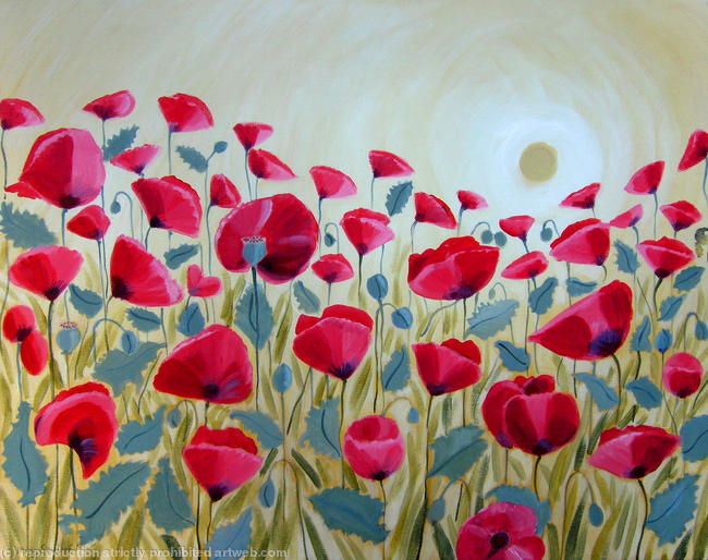 Poppies in golden light