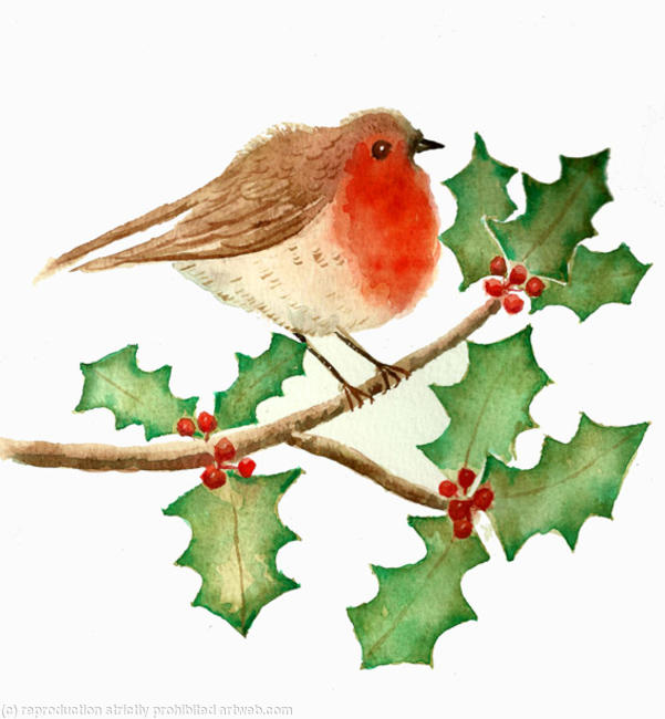 Little robin fella