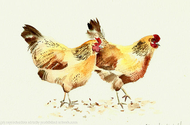Two hens