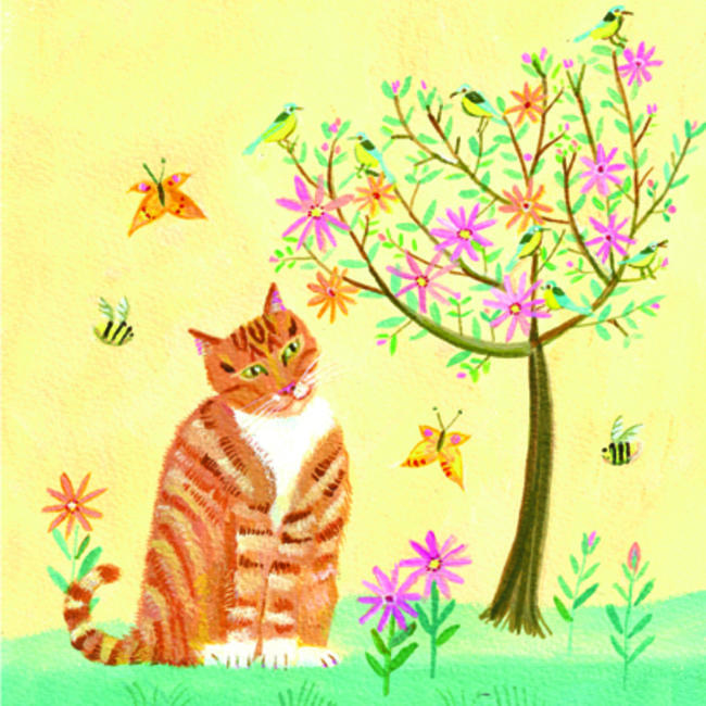 Birdwatching