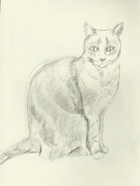 Visitor sketch