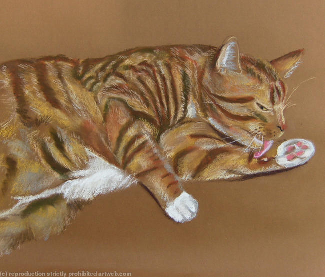 Teddy washing pastel 50x40cm