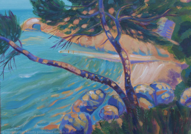 Pine Tree in Spetses, Greece
