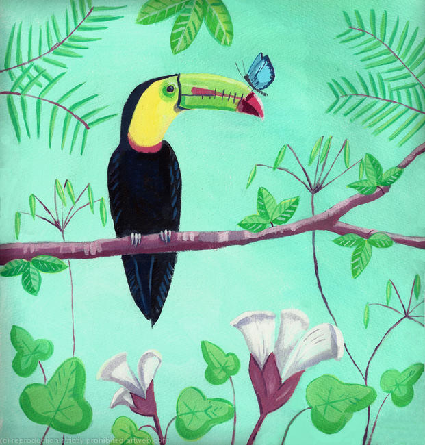 Toucan