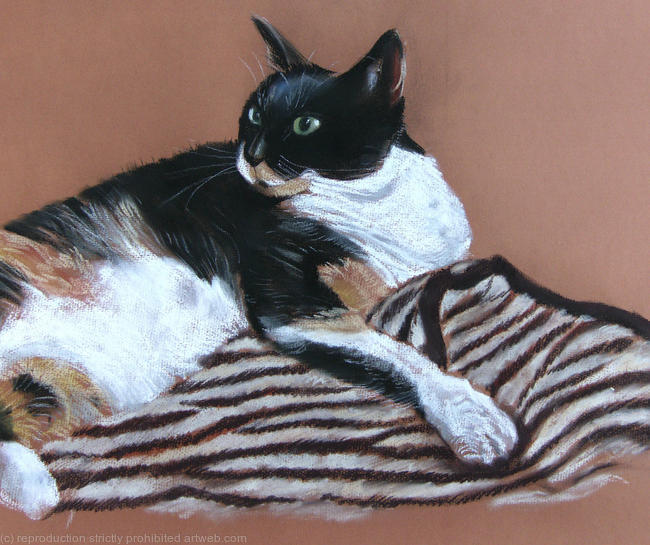 Tortie on tiger rug SOLD