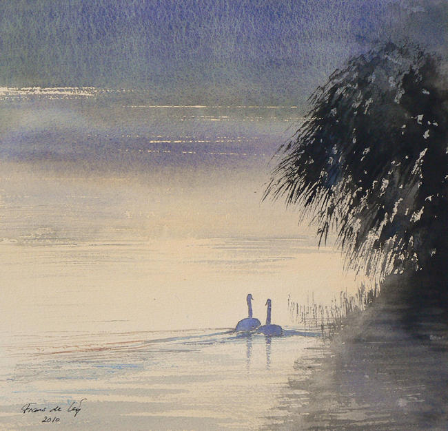 Swans on the Arun