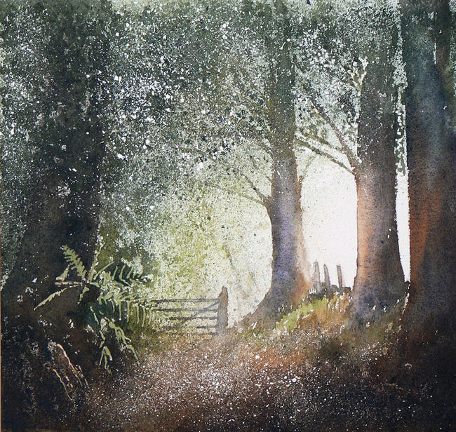 Woodland path