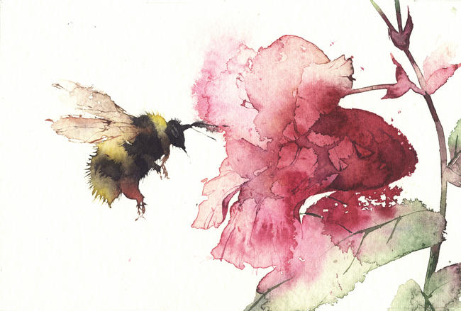 Bee with Balsam