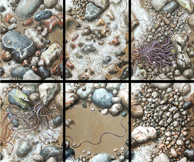 shoreline study