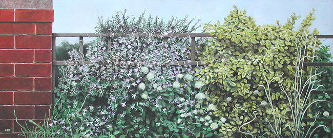 NEIGHBOURS TRELLIS
