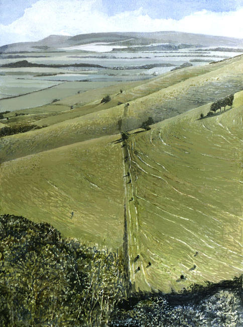 View from Kingston Ridge, Sussex by Serena Penman
