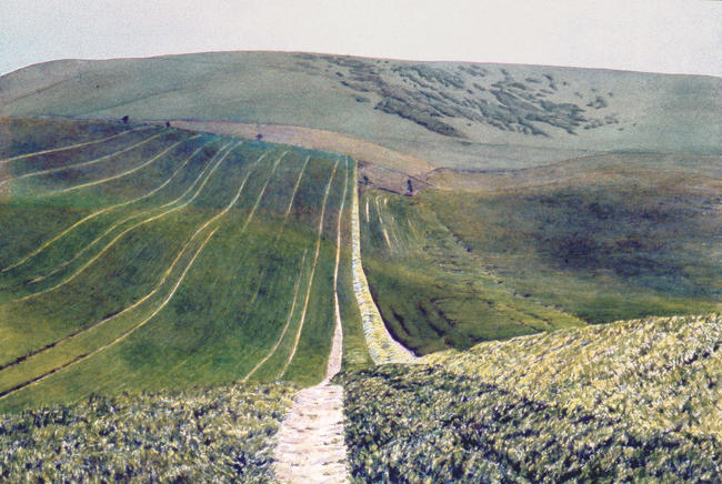 Big green cornfield, Castle Hill, Sussex