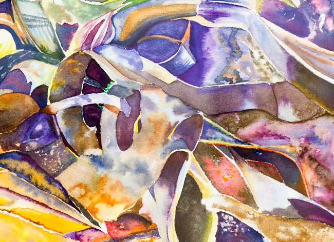 JudyGreen_Seaweed Scotland_Intense Colours_JudyPhotoAlbum_31_03_09_0449