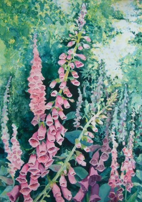 Foxgloves by Krysia Drury