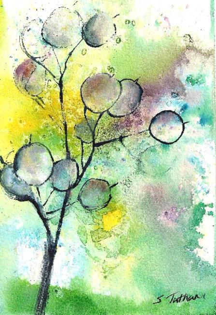 Honesty by Sonya Tatham