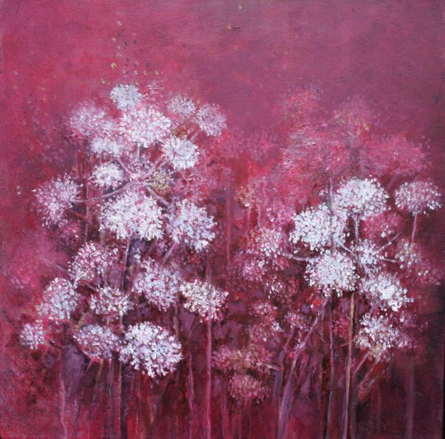 Cow Parsley