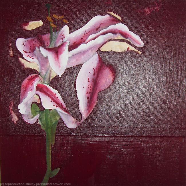 Broken Lilly