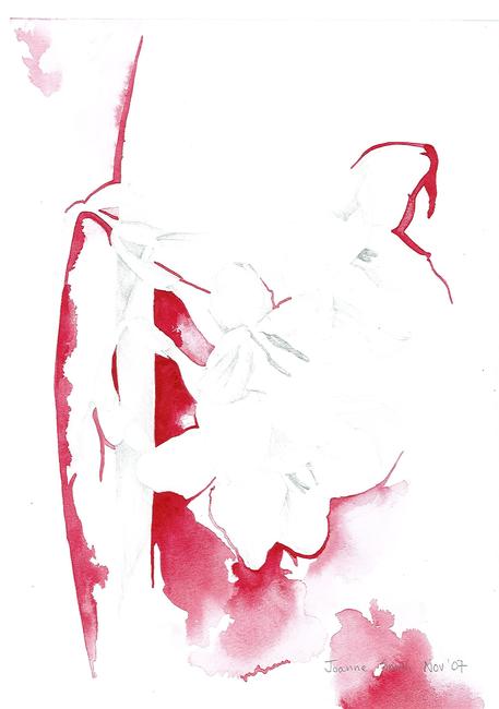 Freesia