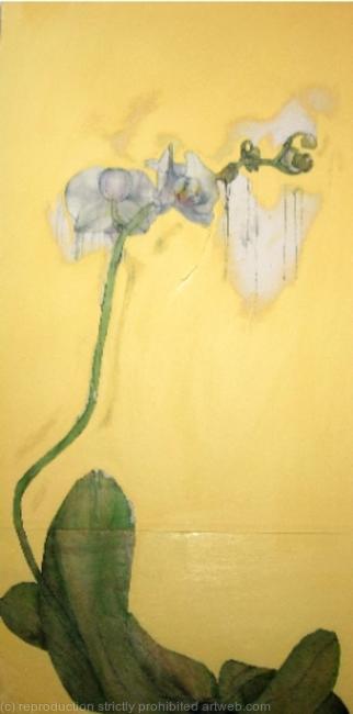 ORCHID II