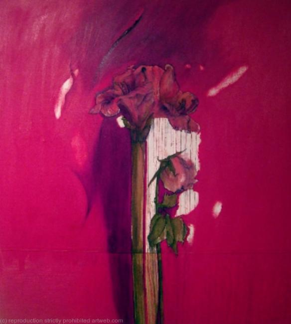 AFRICAN LILLY WITH ROSE