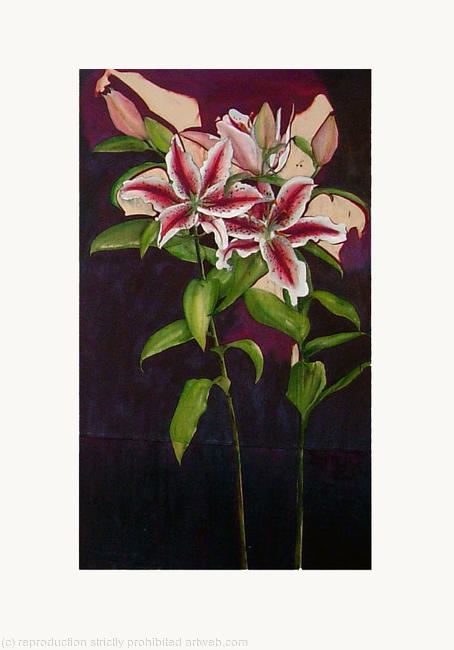 DANCING LILLY