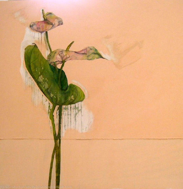 ANTHURIUMS IN PINK