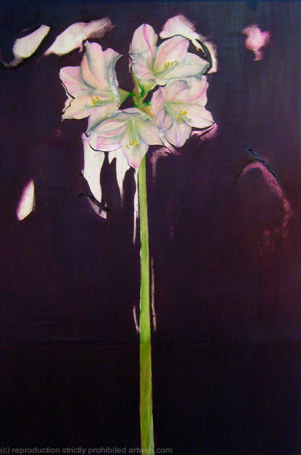 AMARYLLIS