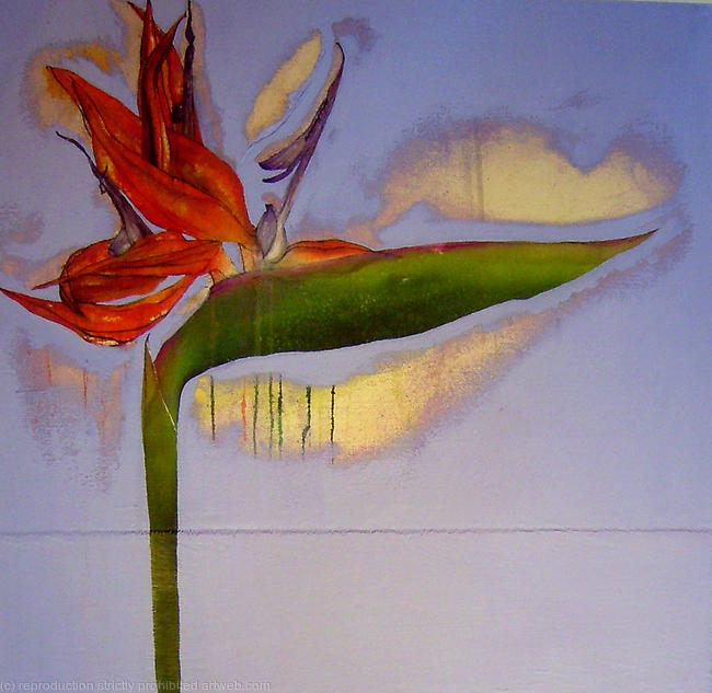 STRELITZIA