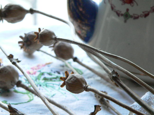 Tea Pot
