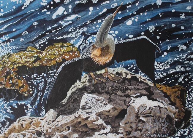 Cormorant
