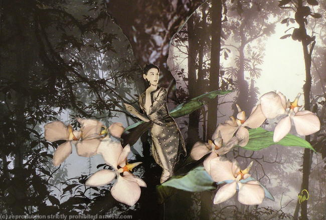 On a Flock of Orchids