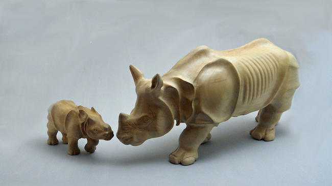 Indian Rhino and Calf