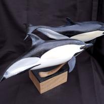 Short beaked Common Dolphin