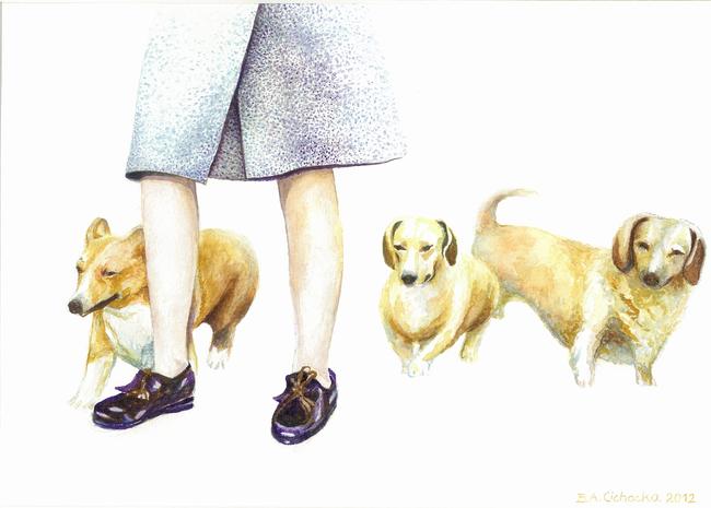 Enjoying a Walk