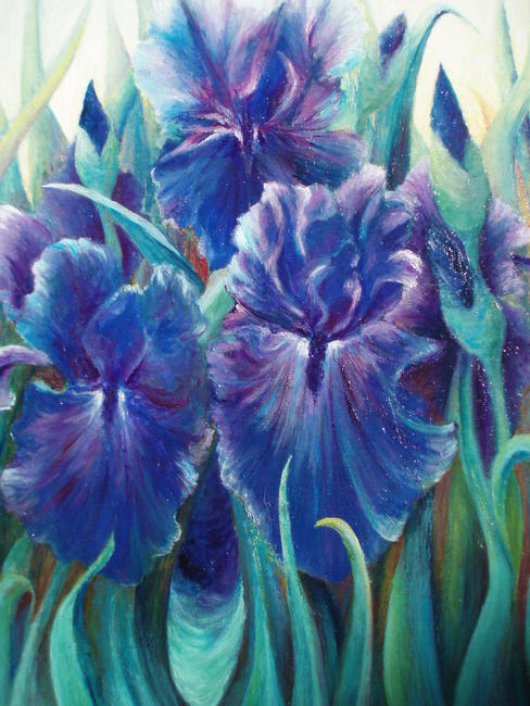 Blue Iris