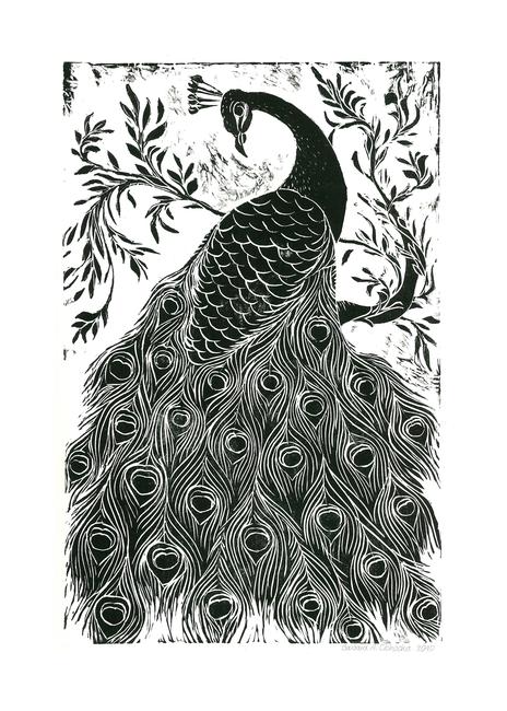 Black and White Peacock
