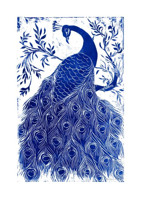 Blue Peacock
