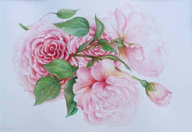 Roses