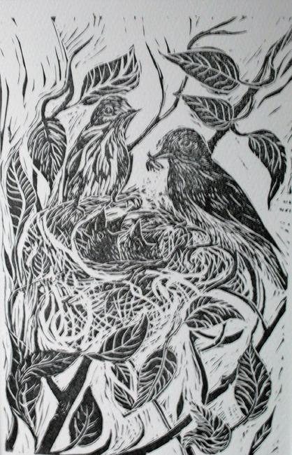 The Flycatcher Family